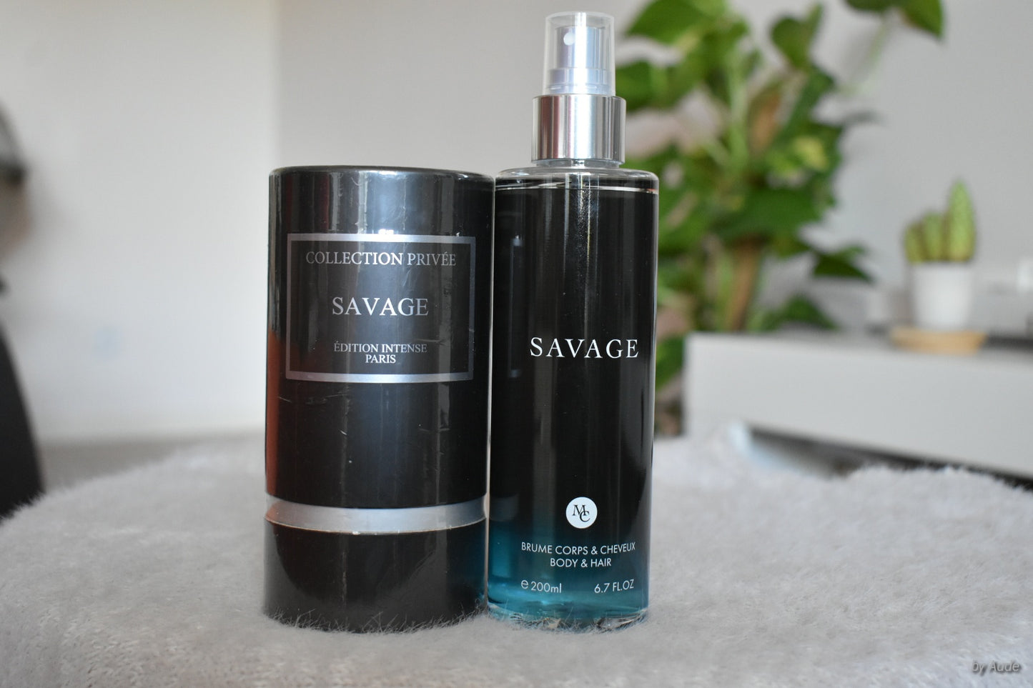 Duo Parfum & Brume _ Sauvage